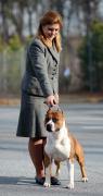 Buddy handled by Blair Aguillard