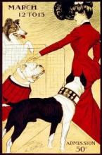 Dog show