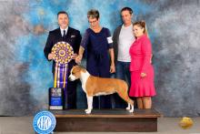 Abby - Best in speciality